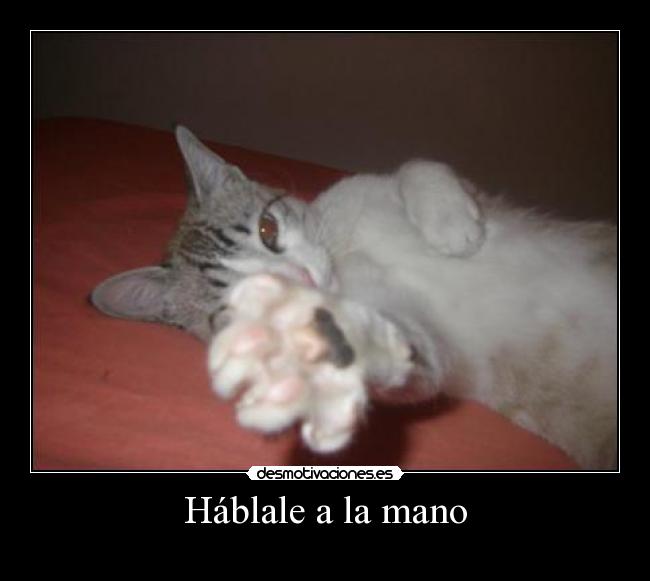 Háblale a la mano -  