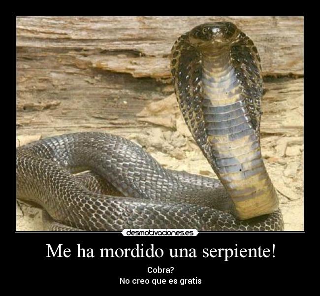 Me ha mordido una serpiente! - Cobra?
No creo que es gratis