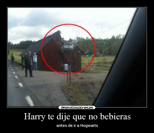 Harry te dije que no bebieras - 