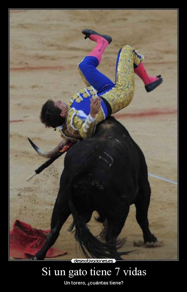 Si un gato tiene 7 vidas -