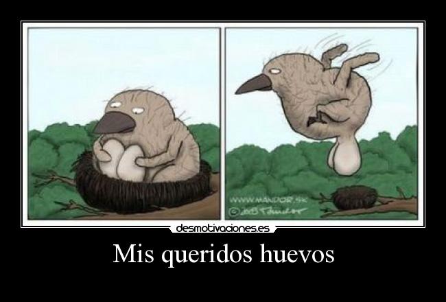 Mis queridos huevos -