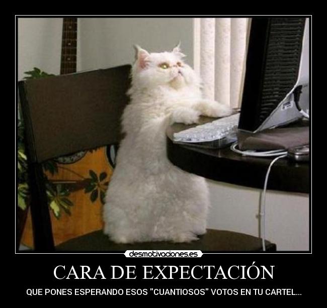 CARA DE EXPECTACIÓN -