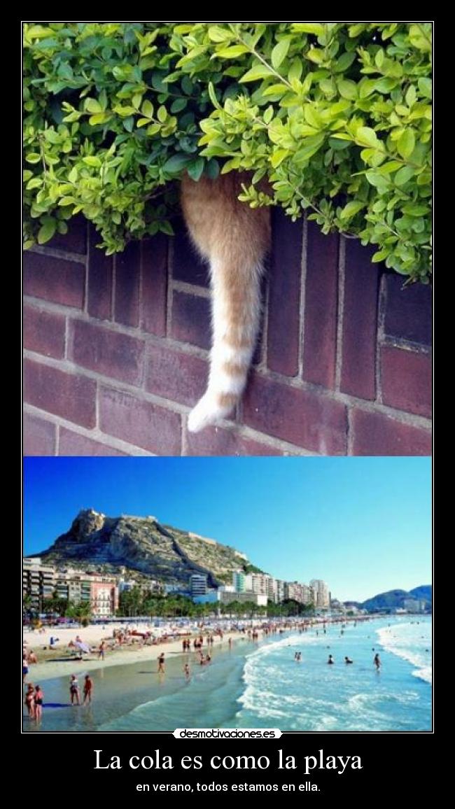 La cola es como la playa - 