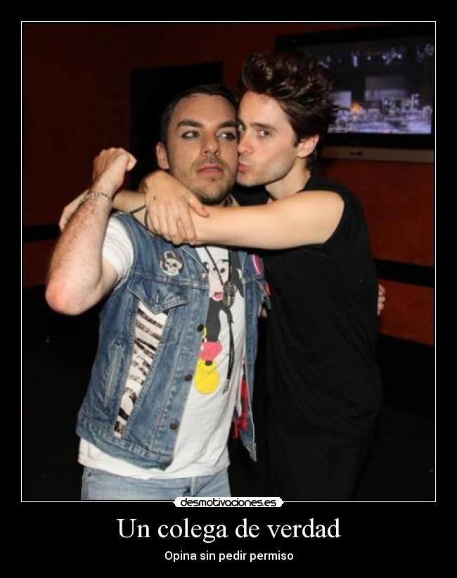 Un colega de verdad - Opina sin pedir permiso