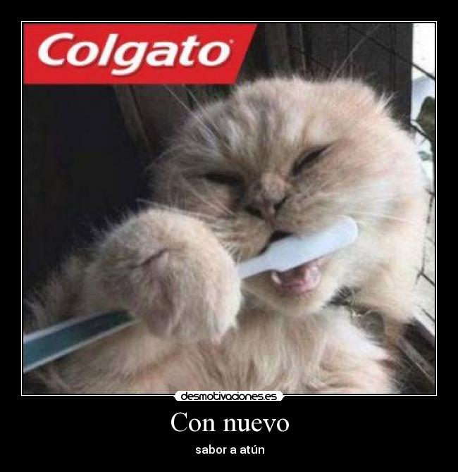 Con nuevo - sabor a atún