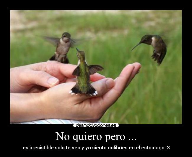 No quiero pero ... - es irresistible solo te veo y ya siento colibríes en el estomago :3