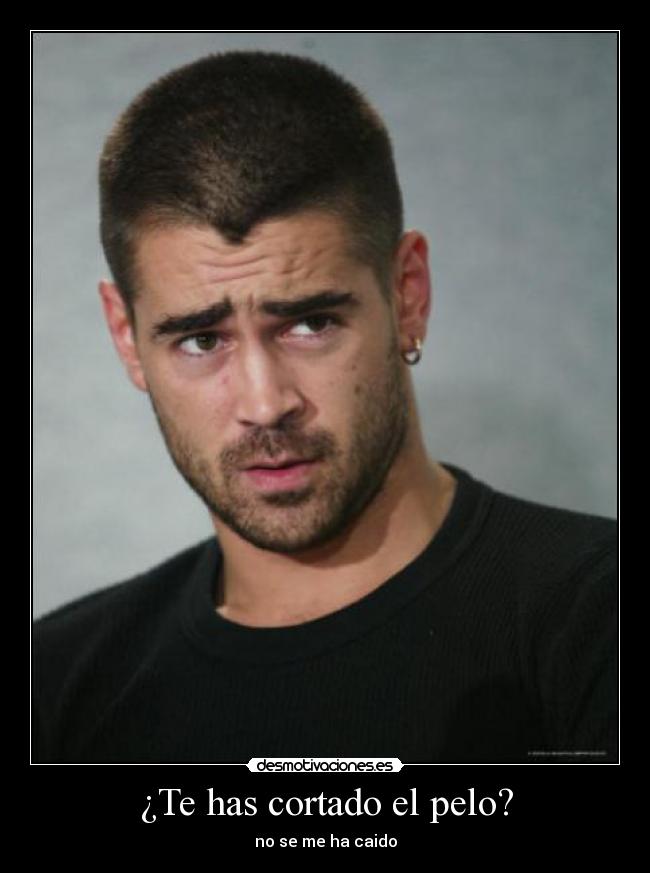 ¿Te has cortado el pelo? -