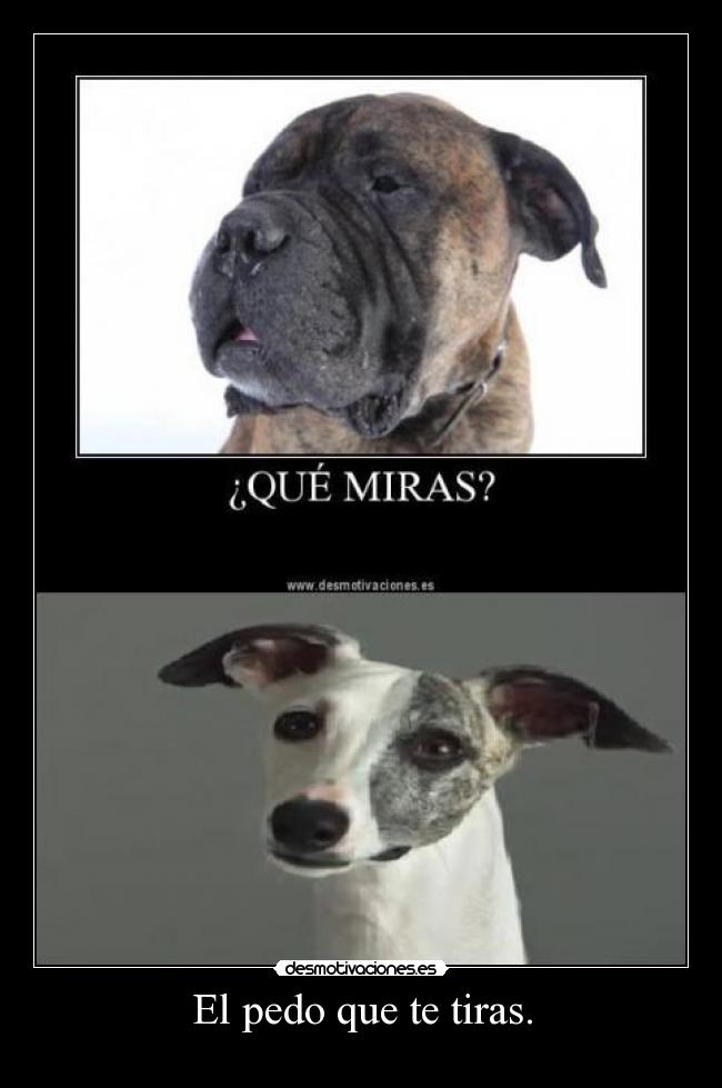 El pedo que te tiras. -