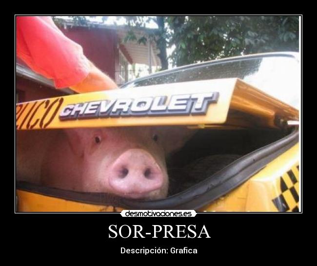 SOR-PRESA -