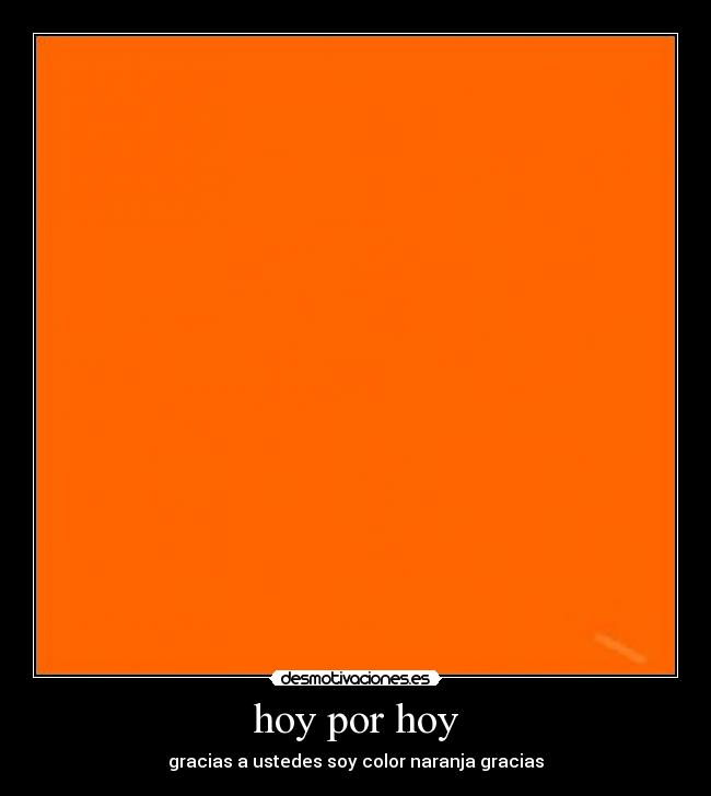 hoy por hoy - gracias a ustedes soy color naranja gracias