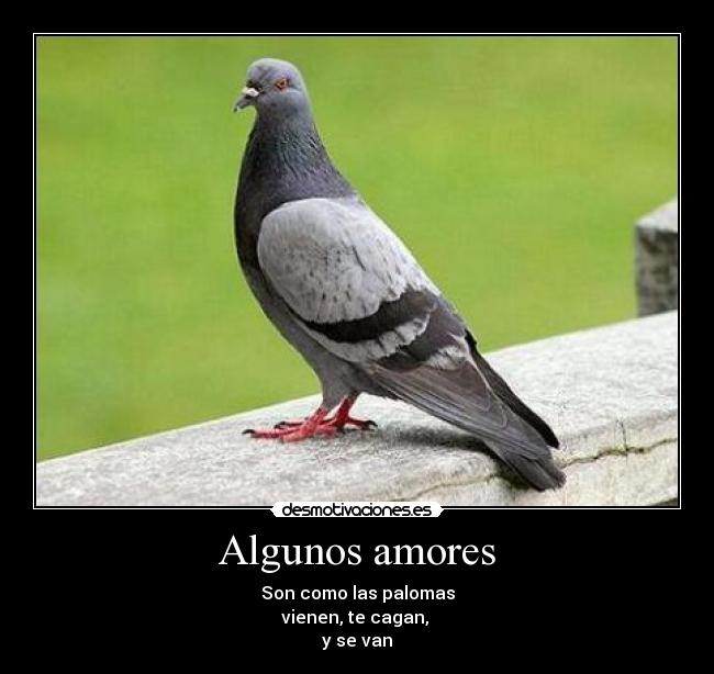 Algunos amores - 