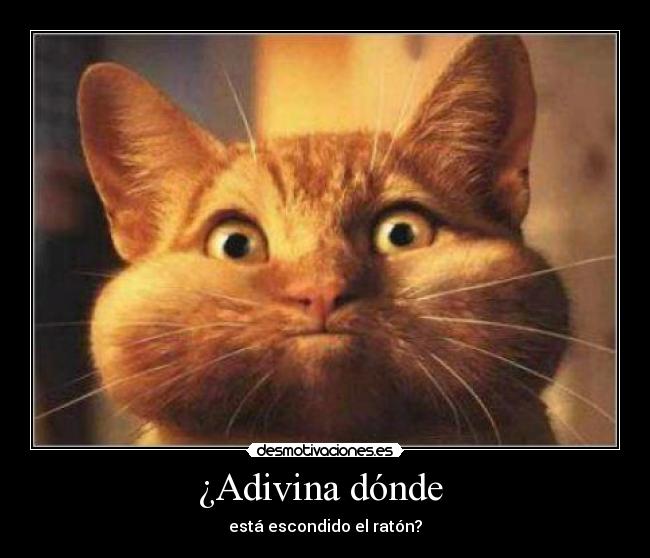 ¿Adivina dónde -