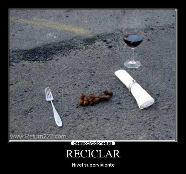 RECICLAR - Nivel superviviente