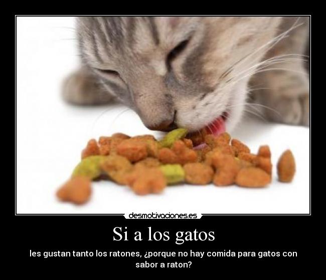 Si a los gatos - les gustan tanto los ratones, ¿porque no hay comida para gatos con sabor a raton?