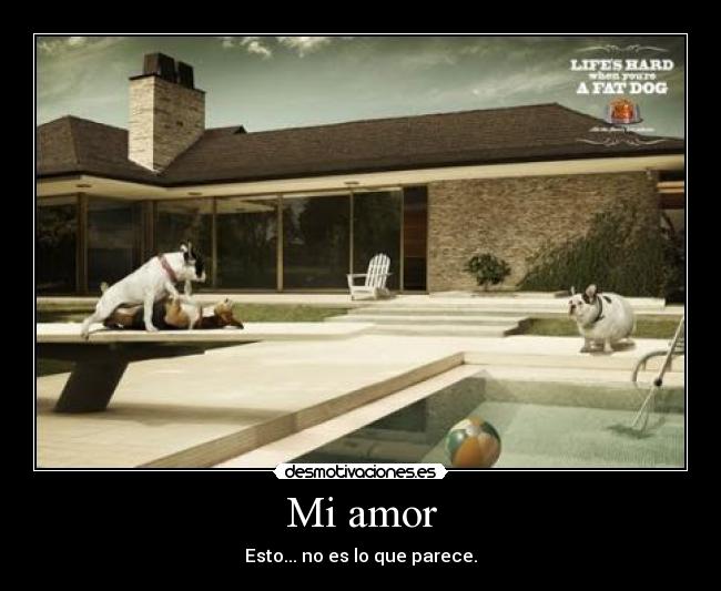 Mi amor - Esto... no es lo que parece.