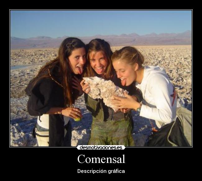 Comensal - Descripción gráfica