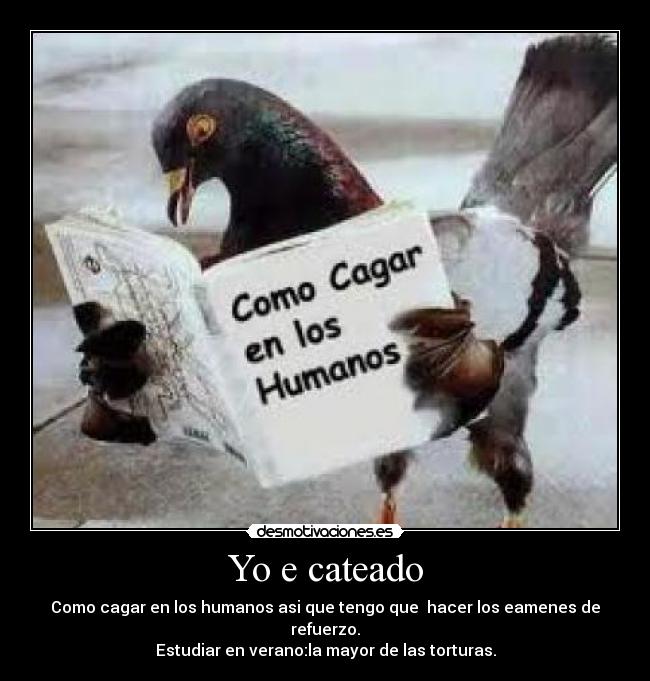 carteles palomascagarumanoscomo desmotivaciones