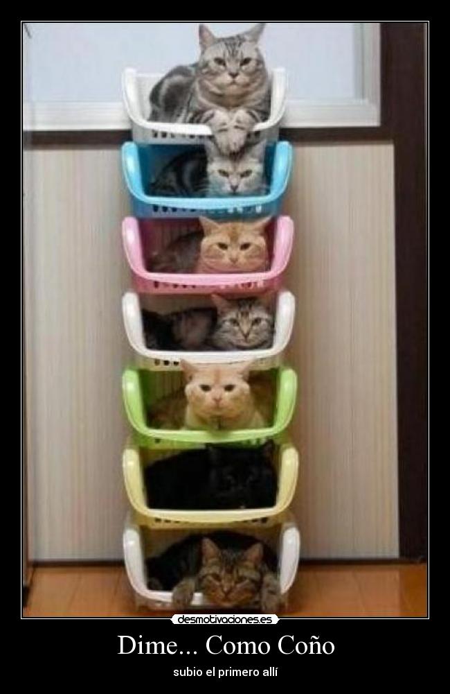 Dime... Como Coño - subio el primero allí
