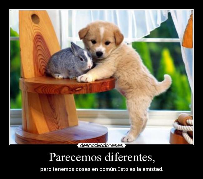 Parecemos diferentes, -
