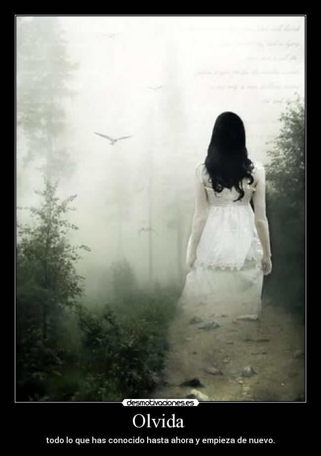 Olvida -