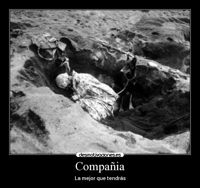 Compañia - La mejor que tendrás