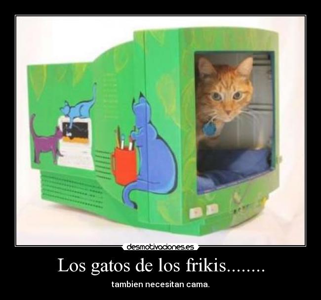 carteles gatos gatoscama friki desmotivaciones