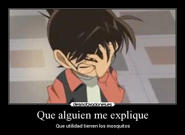 Que alguien me explique - Que utilidad tienen los mosquitos