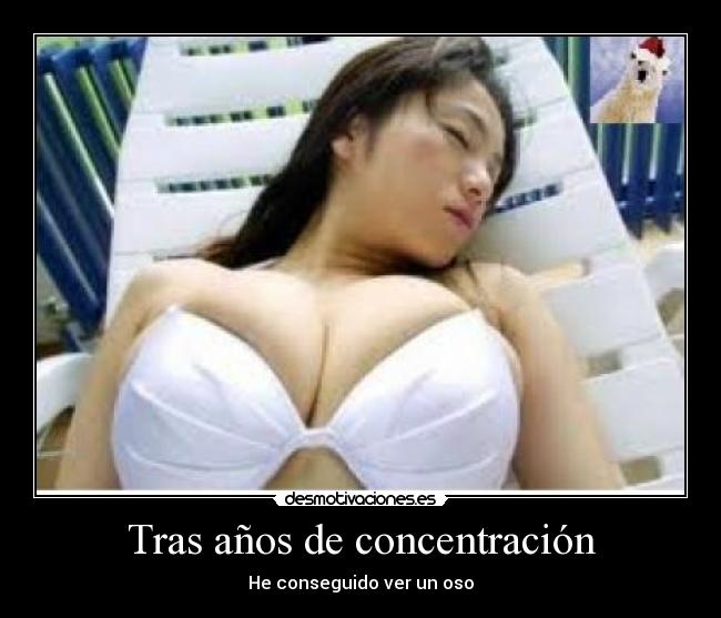 Tras años de concentración - He conseguido ver un oso