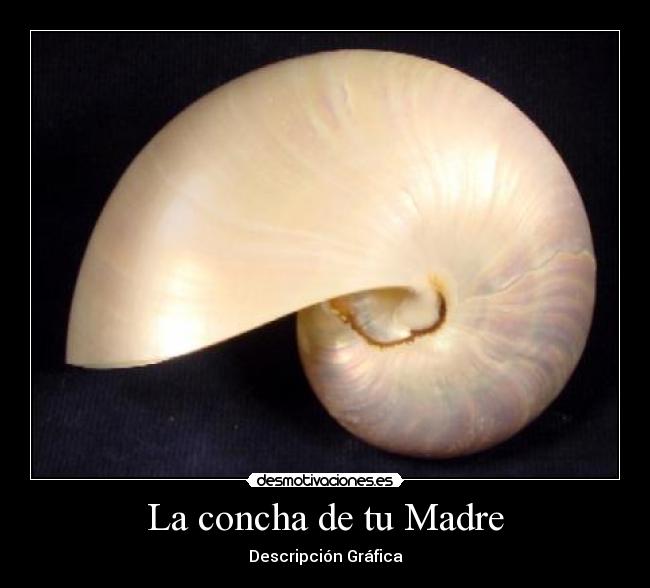 La concha de tu Madre - Descripción Gráfica