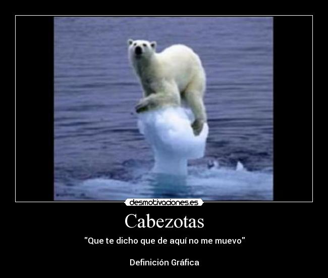 carteles cabezotas desmotivaciones