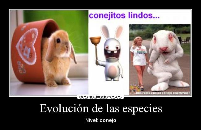 Evolución de las especies - 