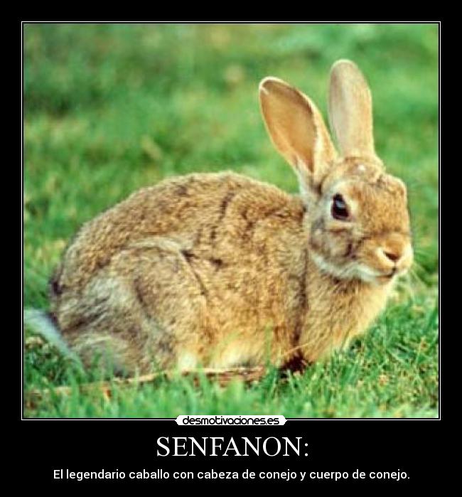 SENFANON: - El legendario caballo con cabeza de conejo y cuerpo de conejo.