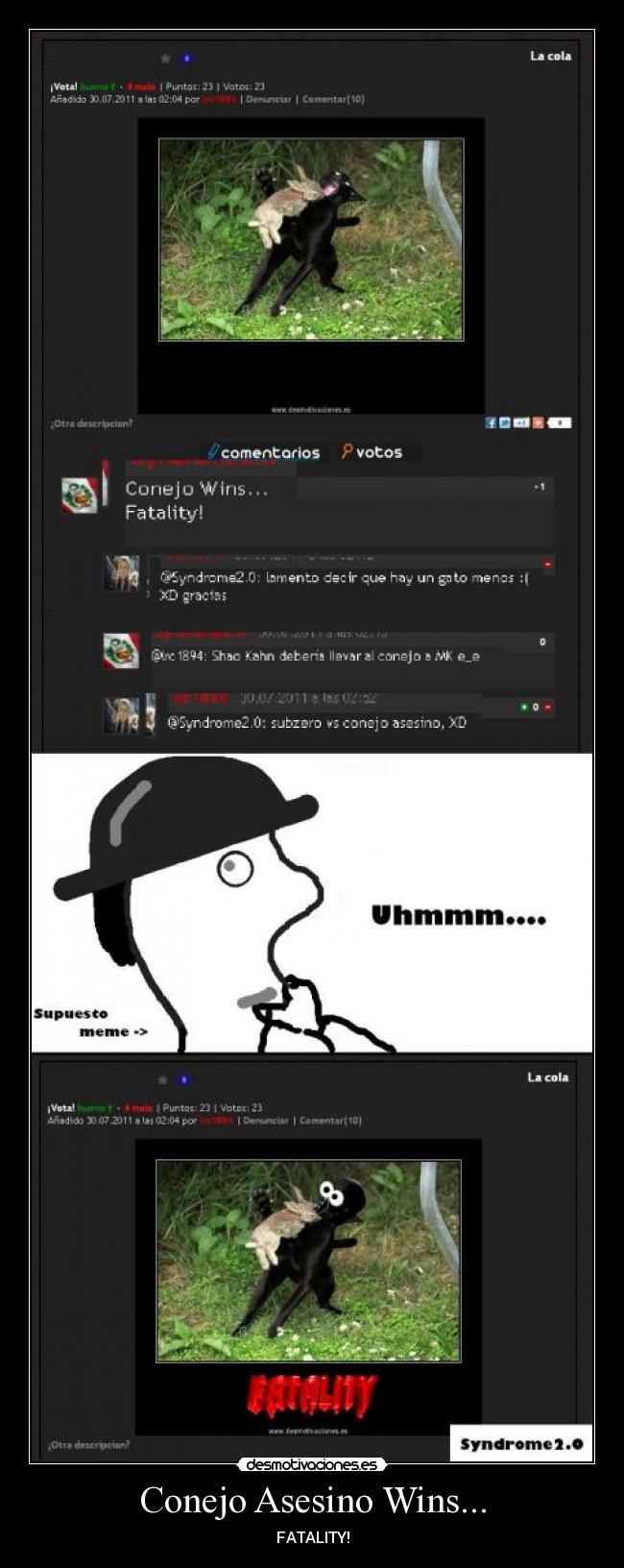 Conejo Asesino Wins... - 