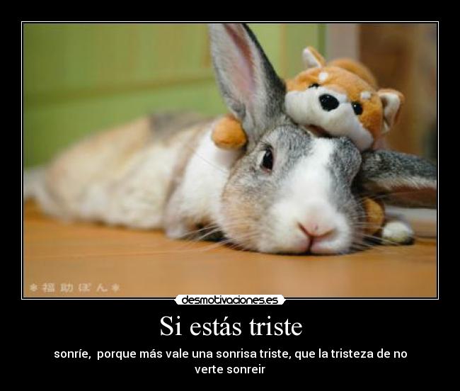 Si estás triste - sonríe, porque más vale una sonrisa triste, que la tristeza de no verte sonreir