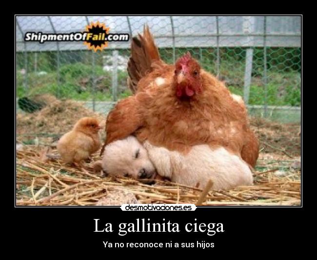 La gallinita ciega - 