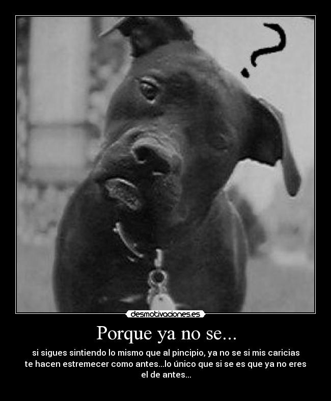 Porque ya no se... - si sigues sintiendo lo mismo que al pincipio, ya no se si mis caricias
te hacen estremecer como antes...lo único que si se es que ya no eres
el de antes...