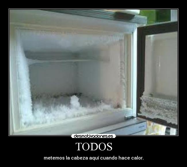 TODOS - metemos la cabeza aquí cuando hace calor.