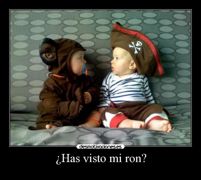 carteles visto ron bebes desmotivaciones