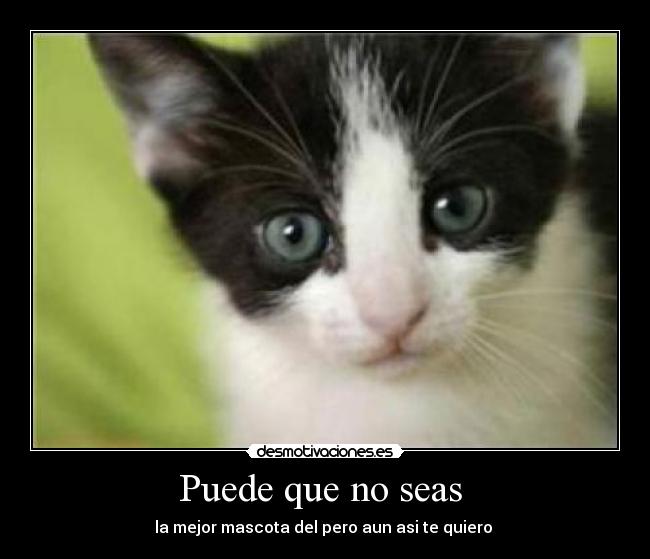 Puede que no seas  - 