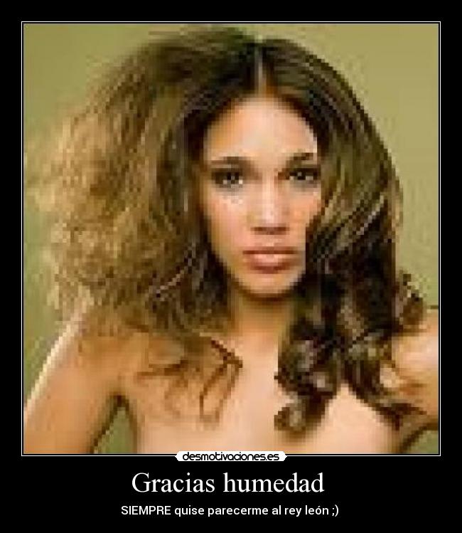 Gracias humedad  - 