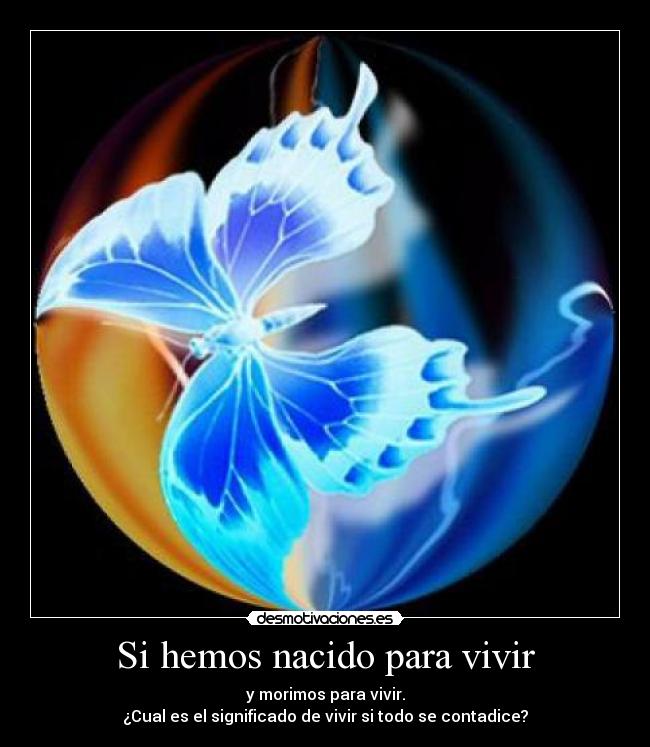 Si hemos nacido para vivir - y morimos para vivir.
¿Cual es el significado de vivir si todo se contadice?
