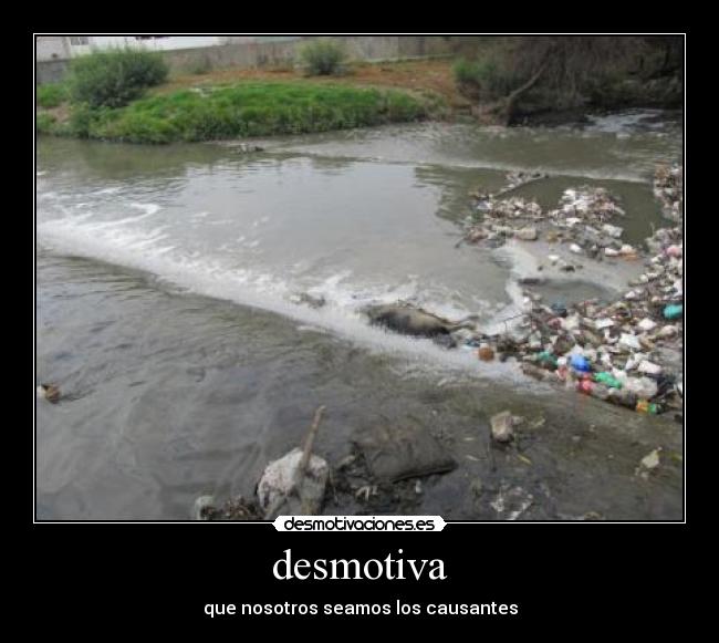 desmotiva - que nosotros seamos los causantes