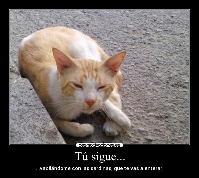 Tú sigue... - 