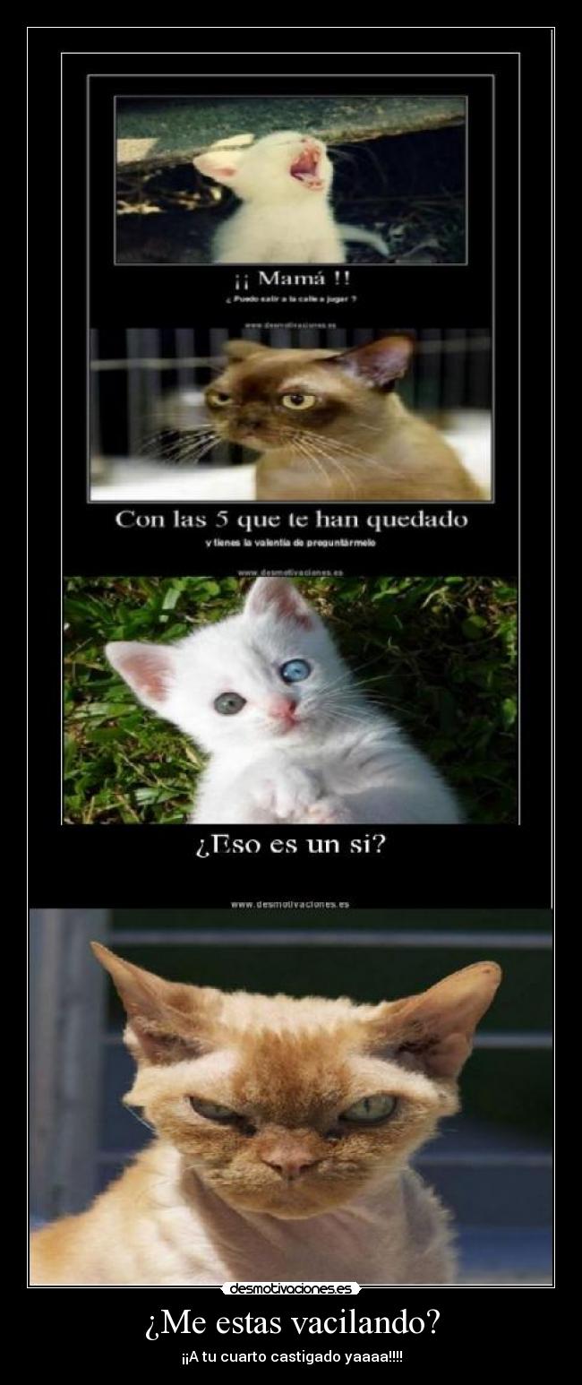 ¿Me estas vacilando? - ¡¡A tu cuarto castigado yaaaa!!!!
