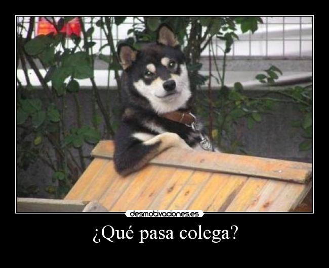 ¿Qué pasa colega? - 