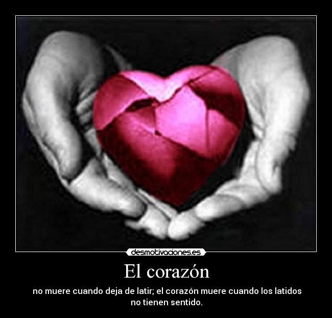El corazón -  no muere cuando deja de latir; el corazón muere cuando los latidos no tienen sentido.