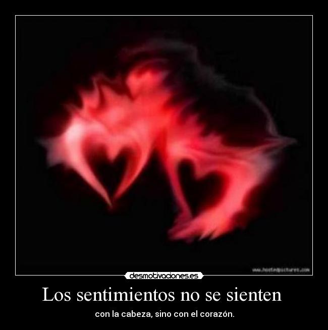 Los sentimientos no se sienten - con la cabeza, sino con el corazón.