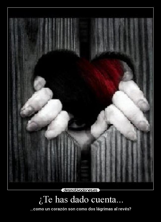 ¿Te has dado cuenta... - ...como un corazón son como dos lágrimas al revés?