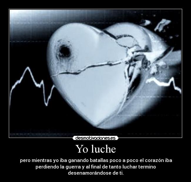 Yo luche -