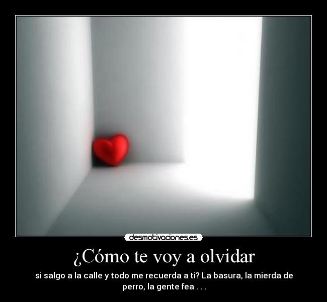 ¿Cómo te voy a olvidar - 